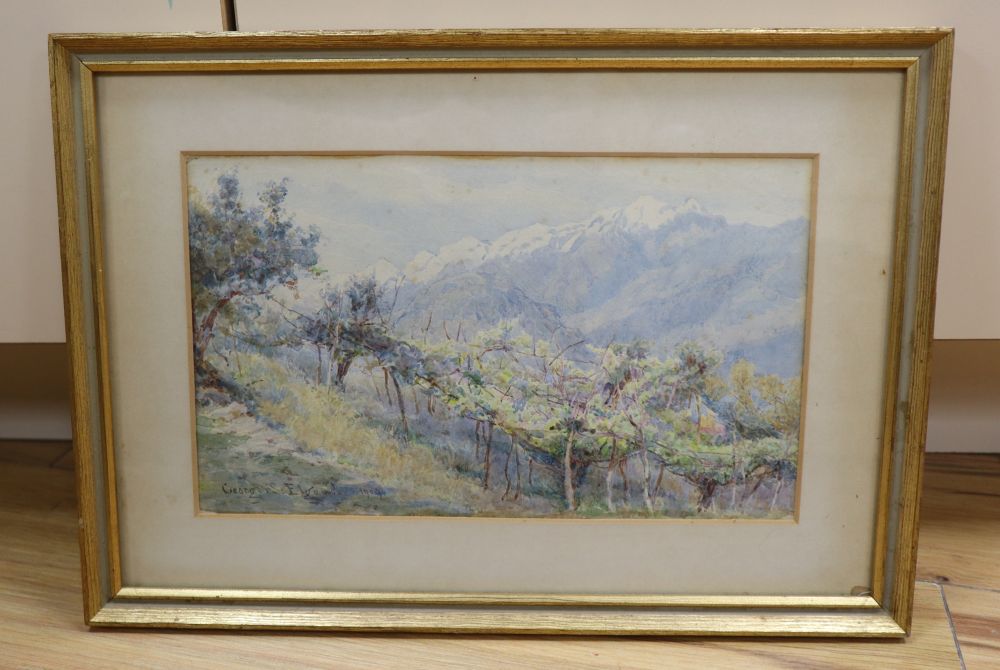 George Samuel Elgood (1851-1943), watercolor, Vineyards above stream, signed and dated 1909, sketch exhibition label verso, 16 x 26cm